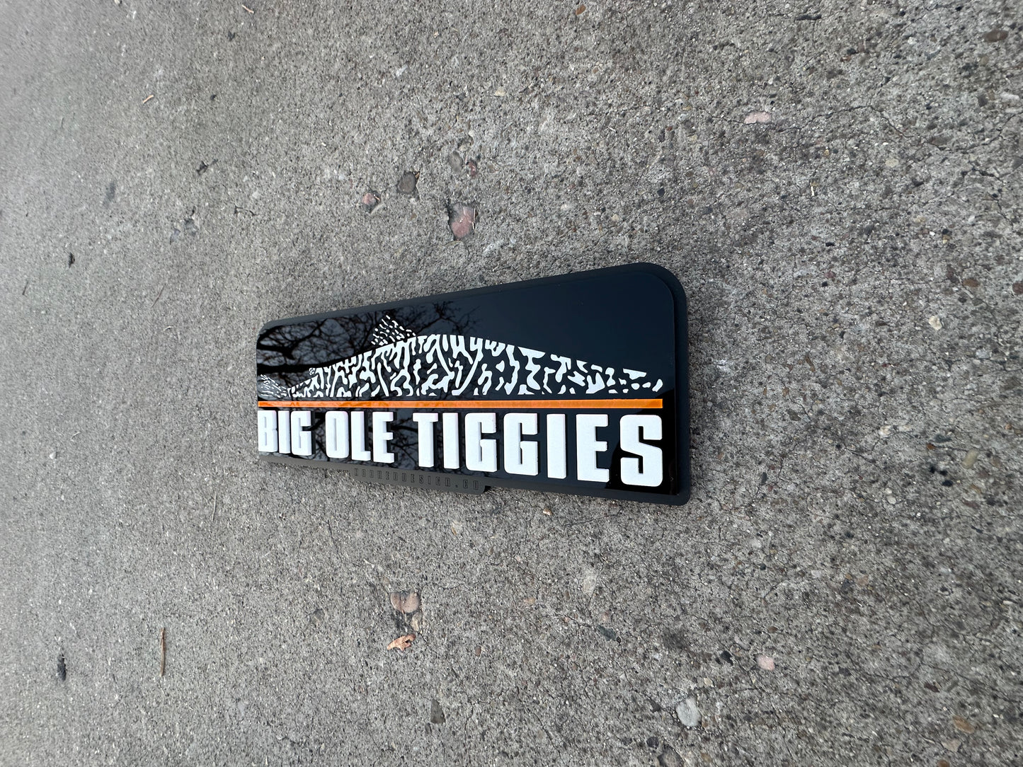 Big Ole Tiggies acrylic office sign
