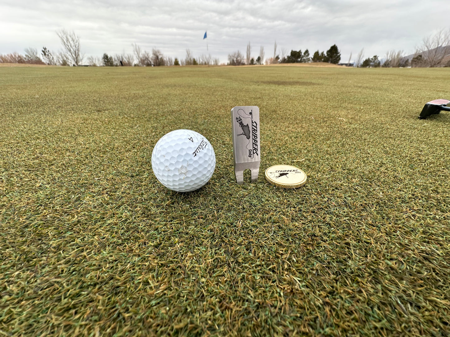 Strippers Only Divot Tool