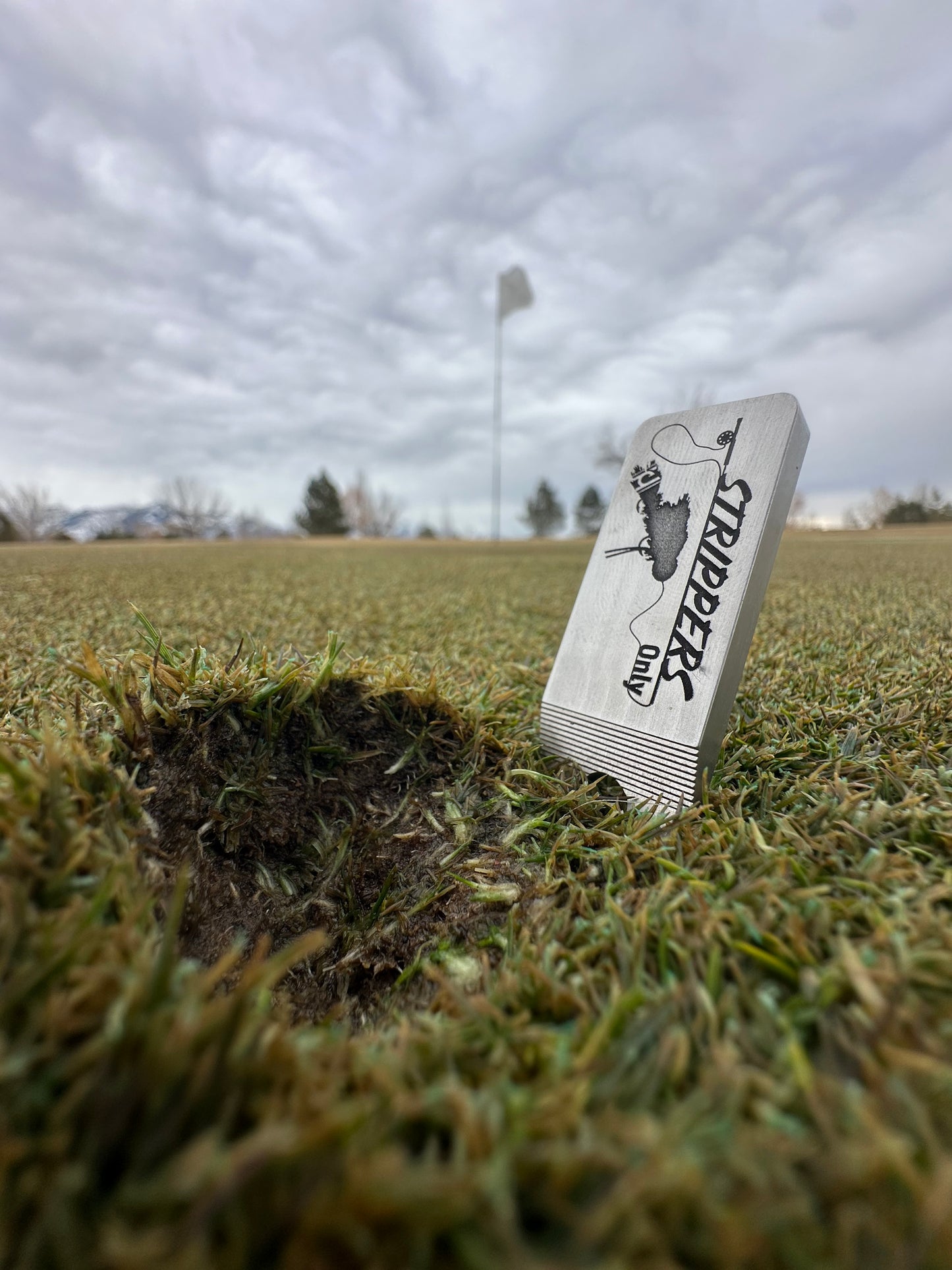 Strippers Only Divot Tool