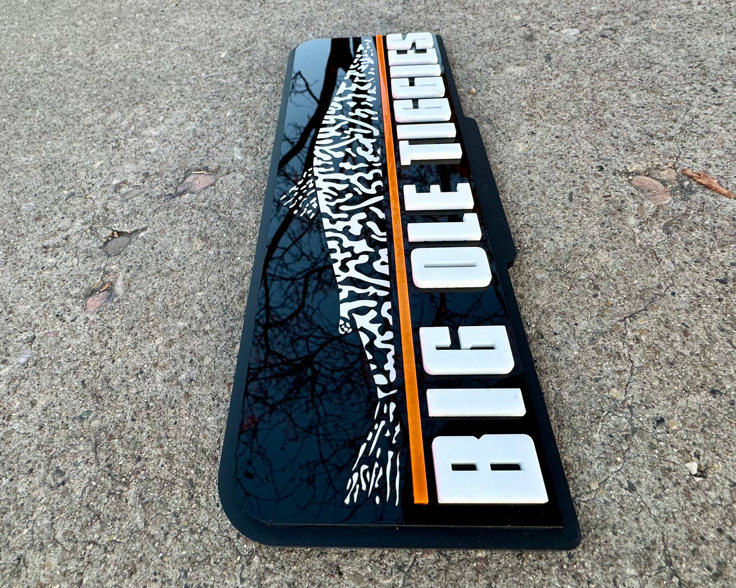 Big Ole Tiggies acrylic office sign