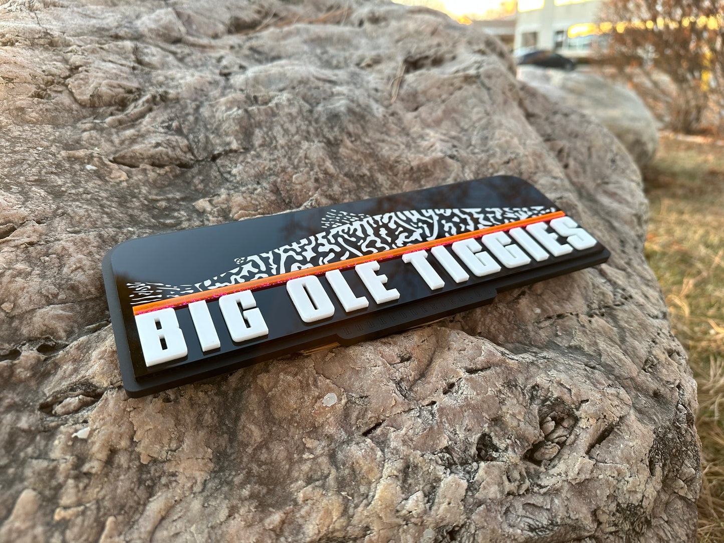 Big Ole Tiggies acrylic office sign