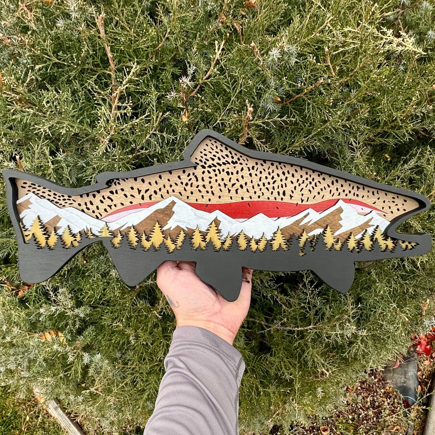 Rainbow Trout