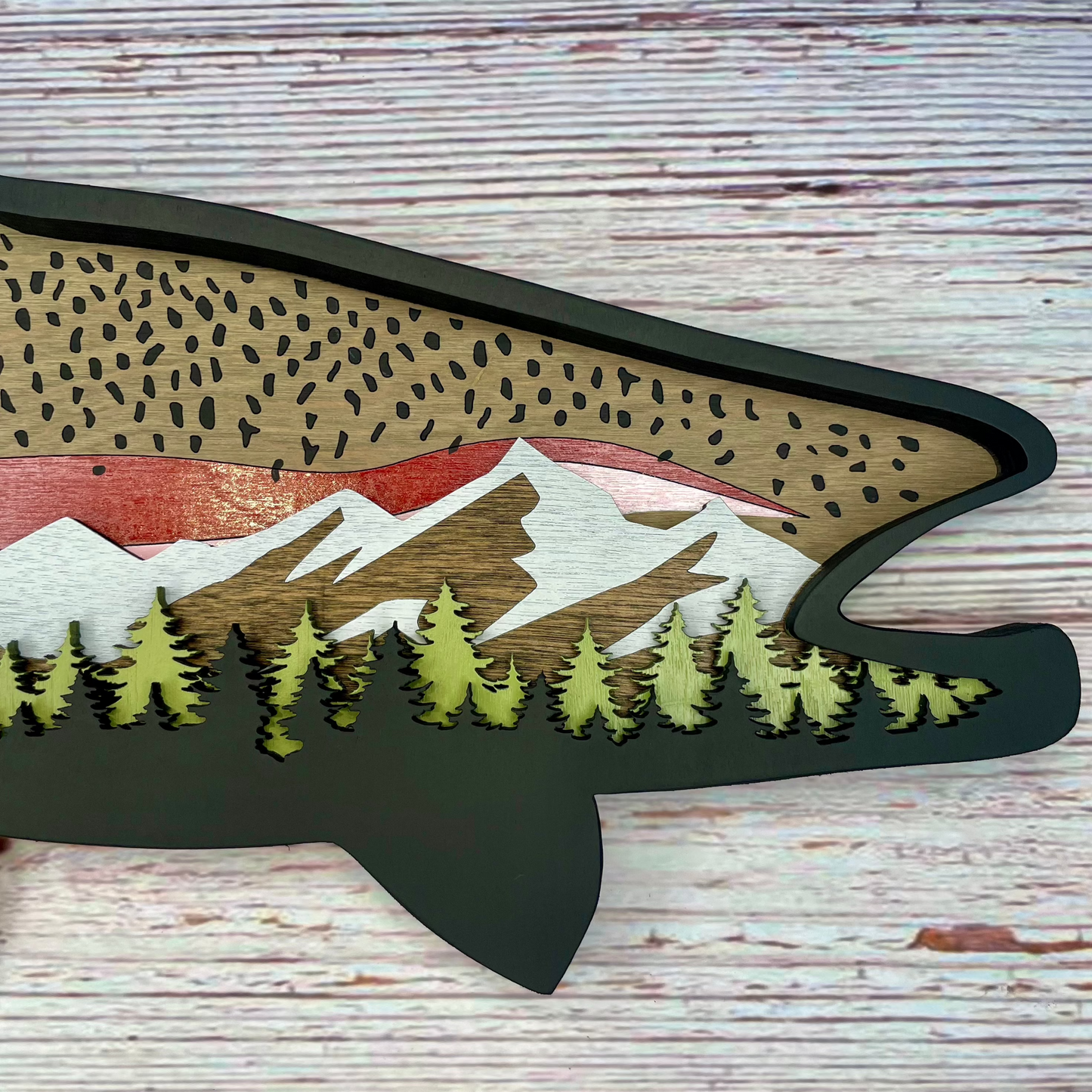 Rainbow Trout