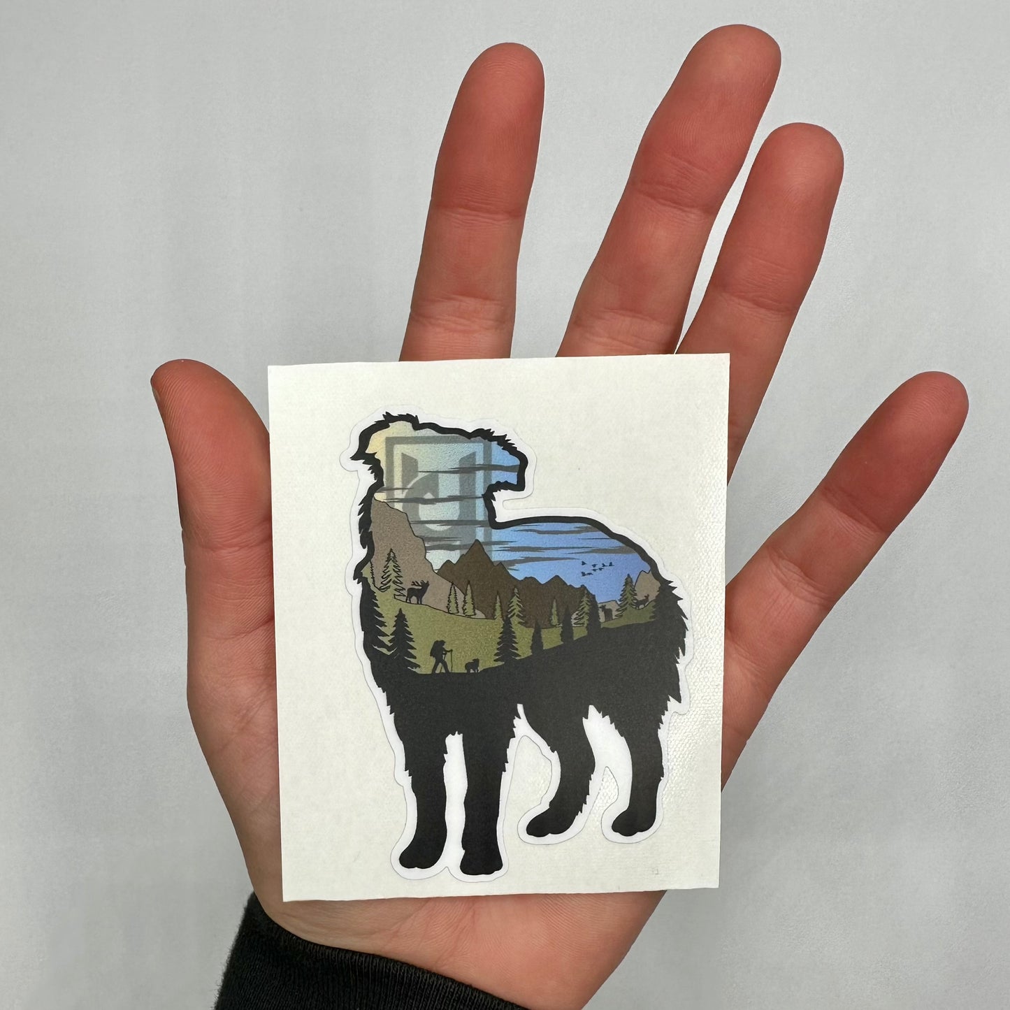 Australian Shepherd Sticker