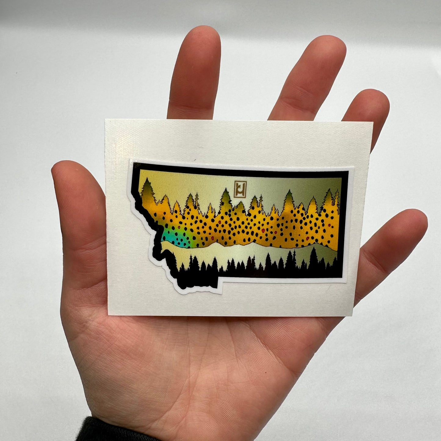 Montana Trout Sticker