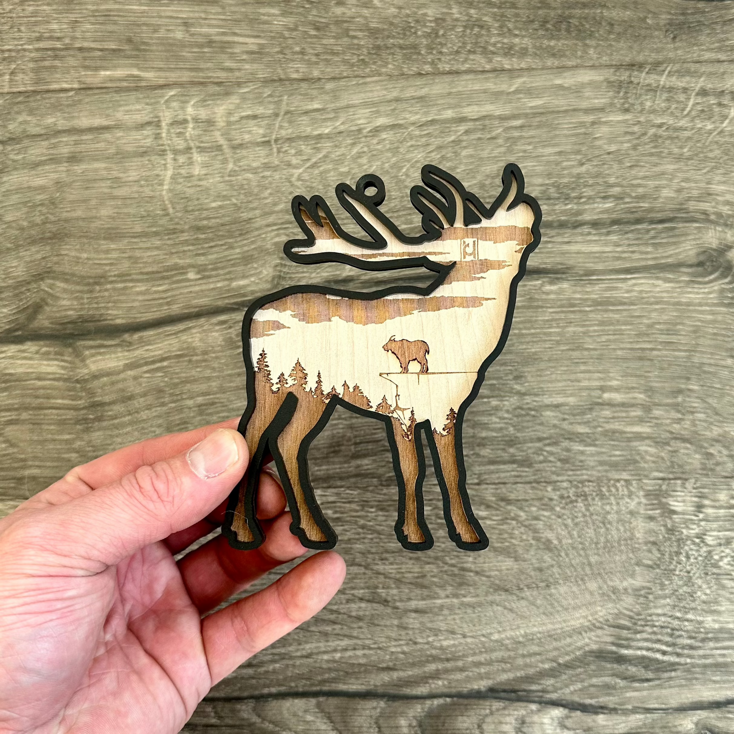 Big Game Christmas Ornaments