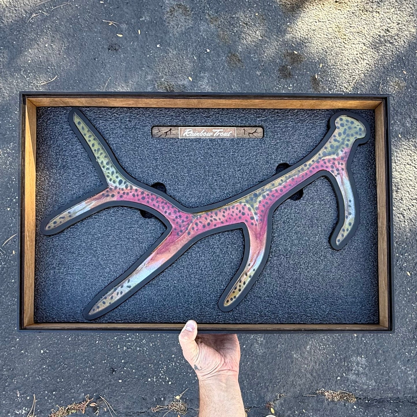 Rainbow Trout Antler