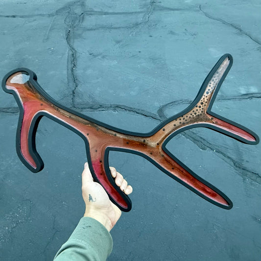 Cutthroat Trout Antler