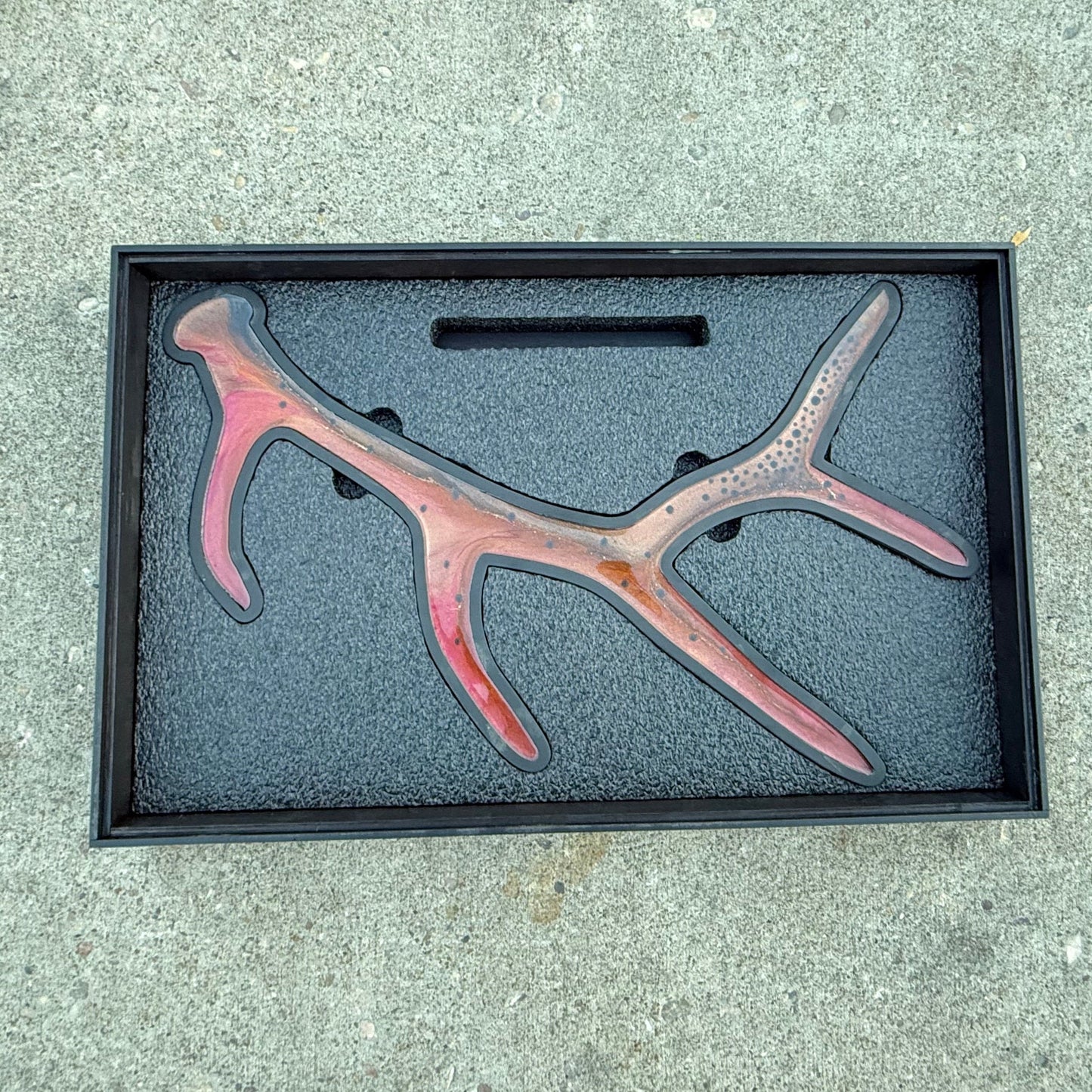 Cutthroat Trout Antler