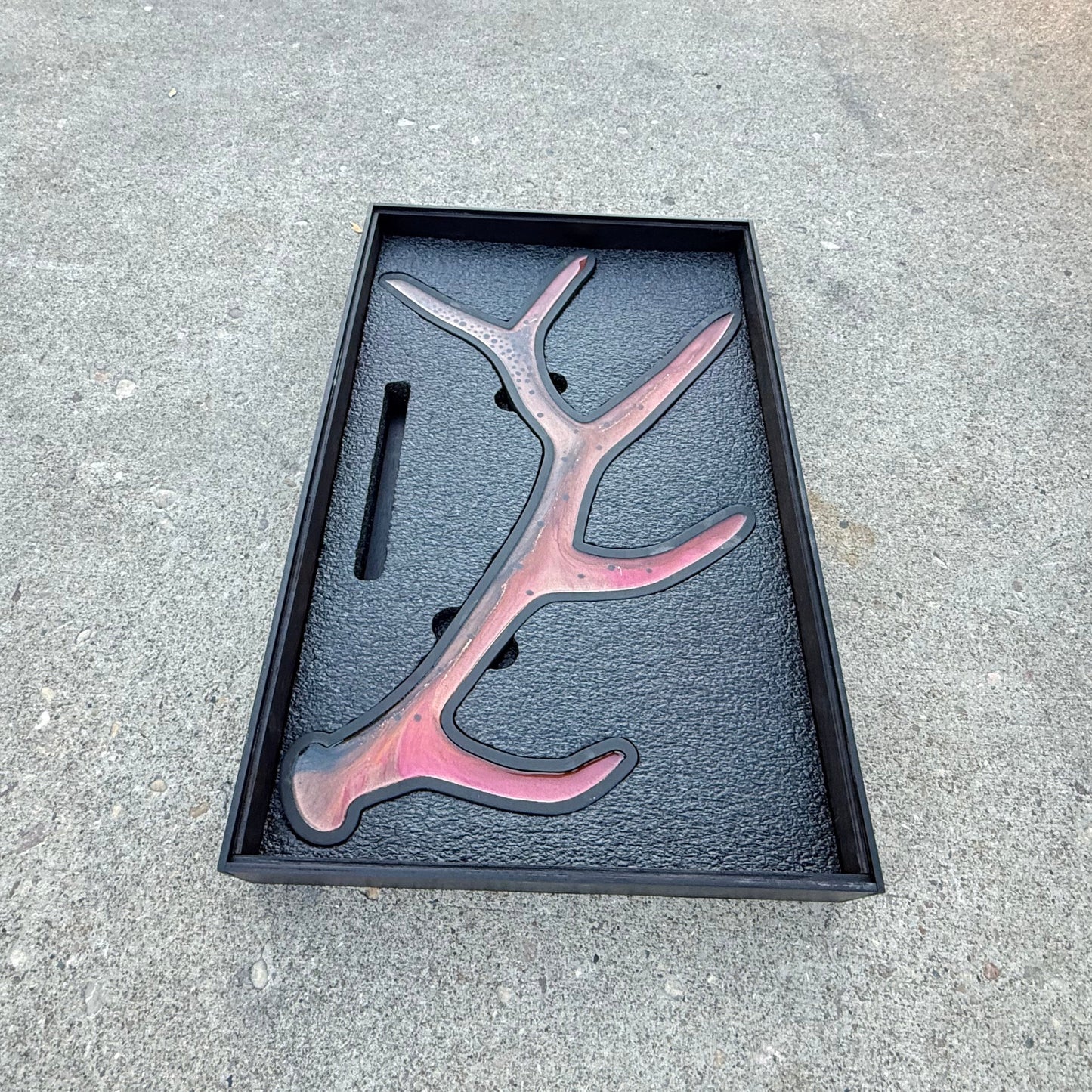 Cutthroat Trout Antler