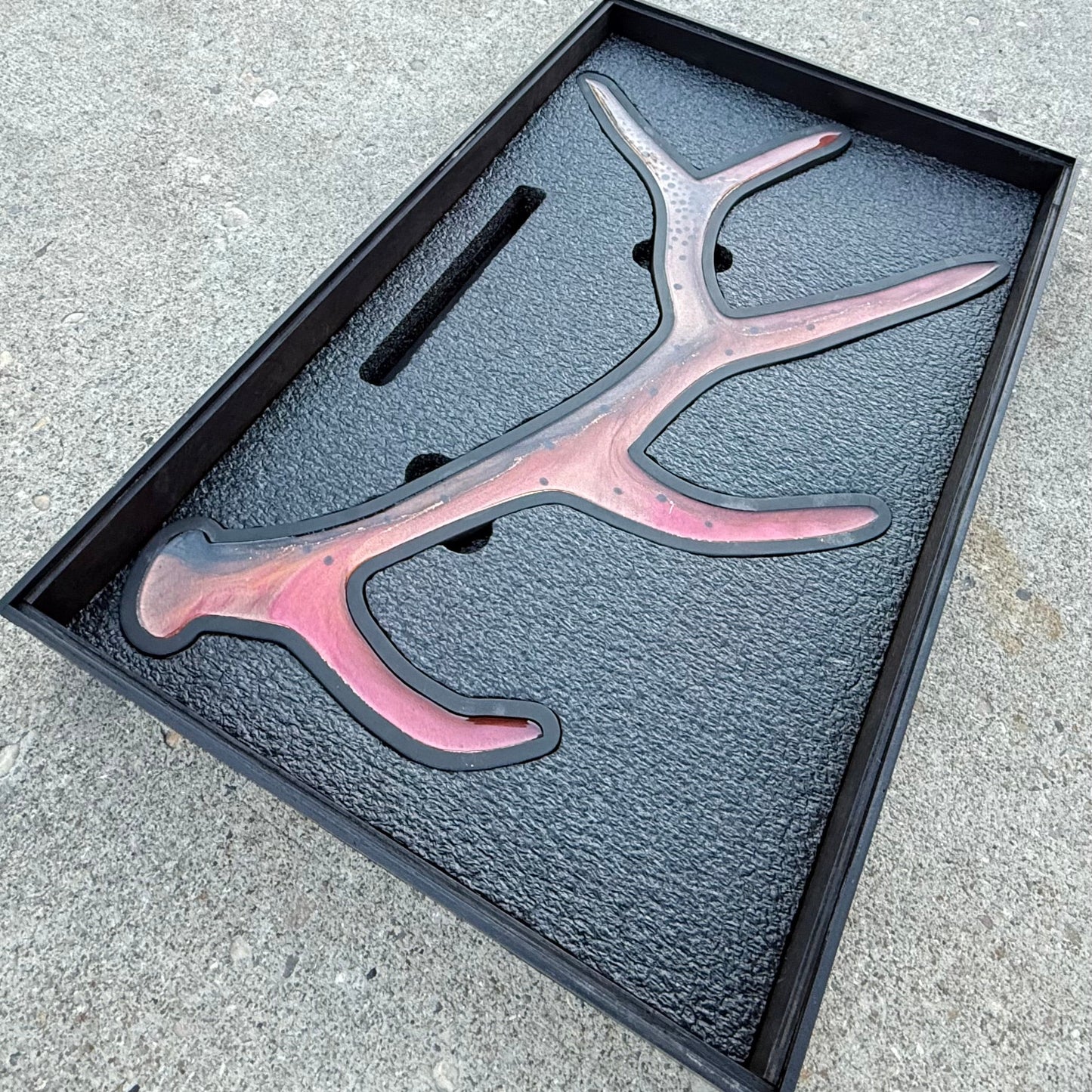 Cutthroat Trout Antler