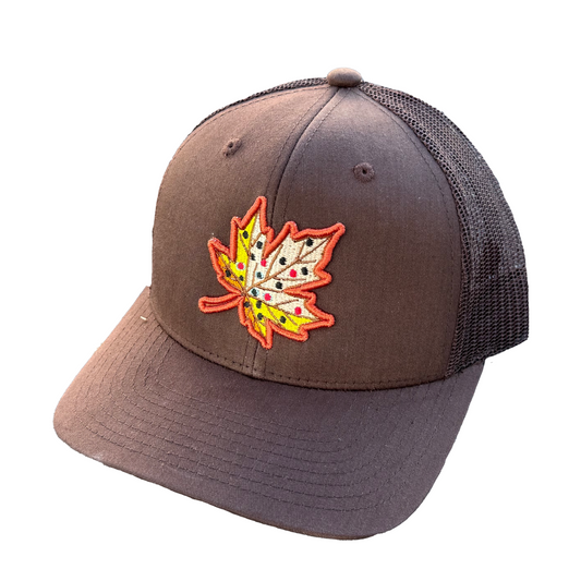 Brown cap with a colorful leaf design on a white background