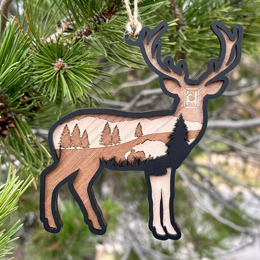 Big Game Christmas Ornaments