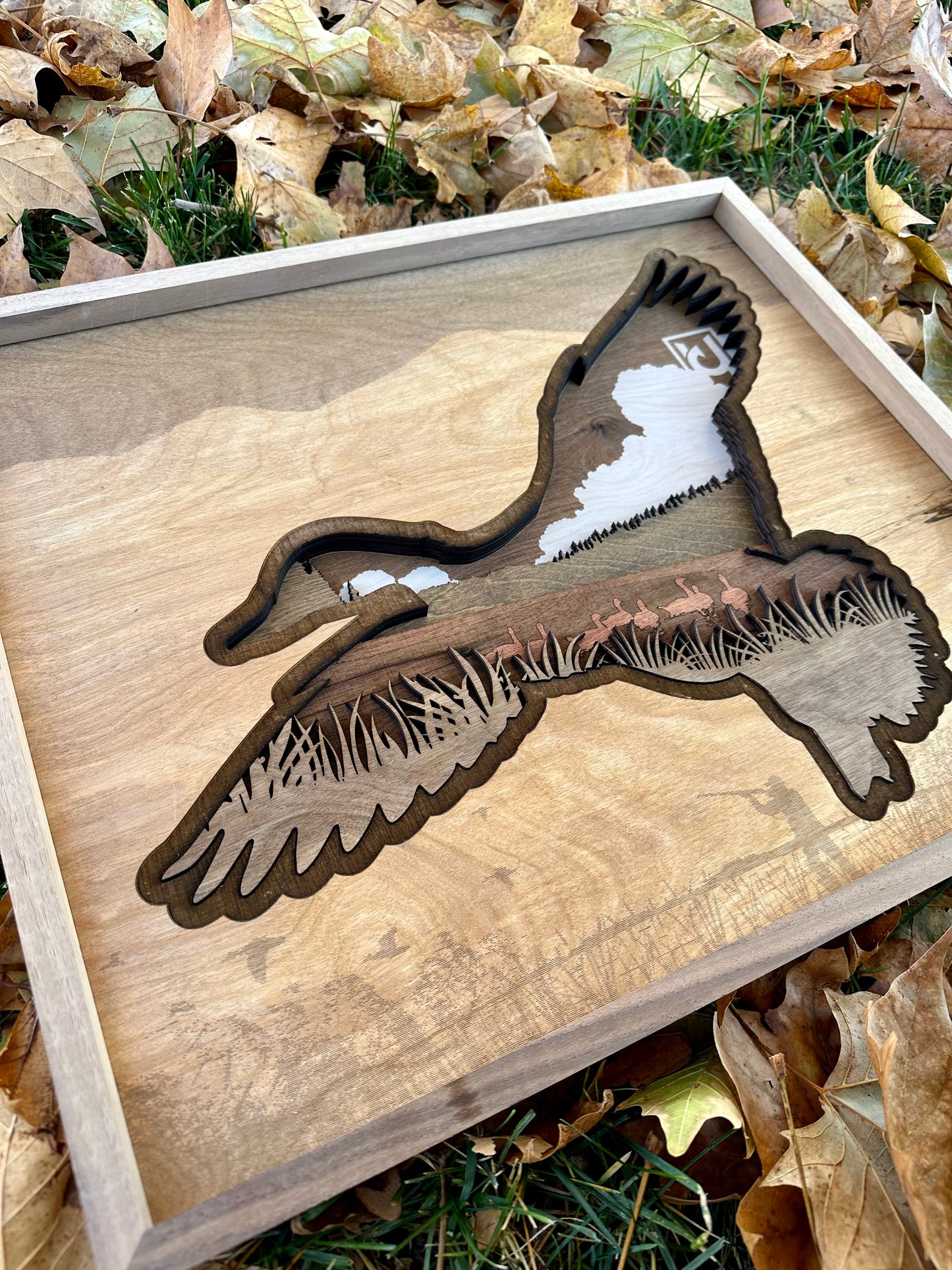 Framed Wood Duck Design