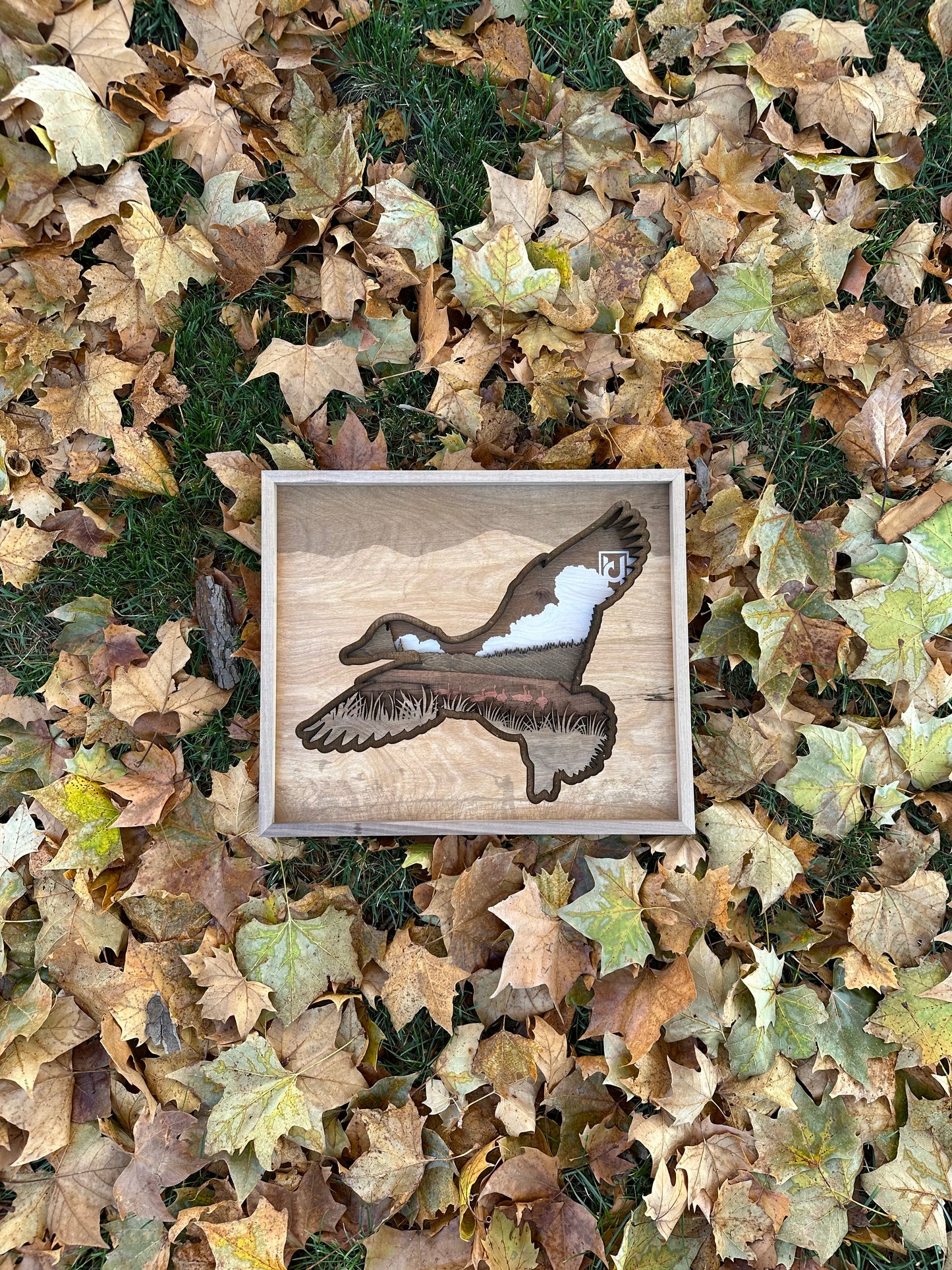 Framed Wood Duck Design
