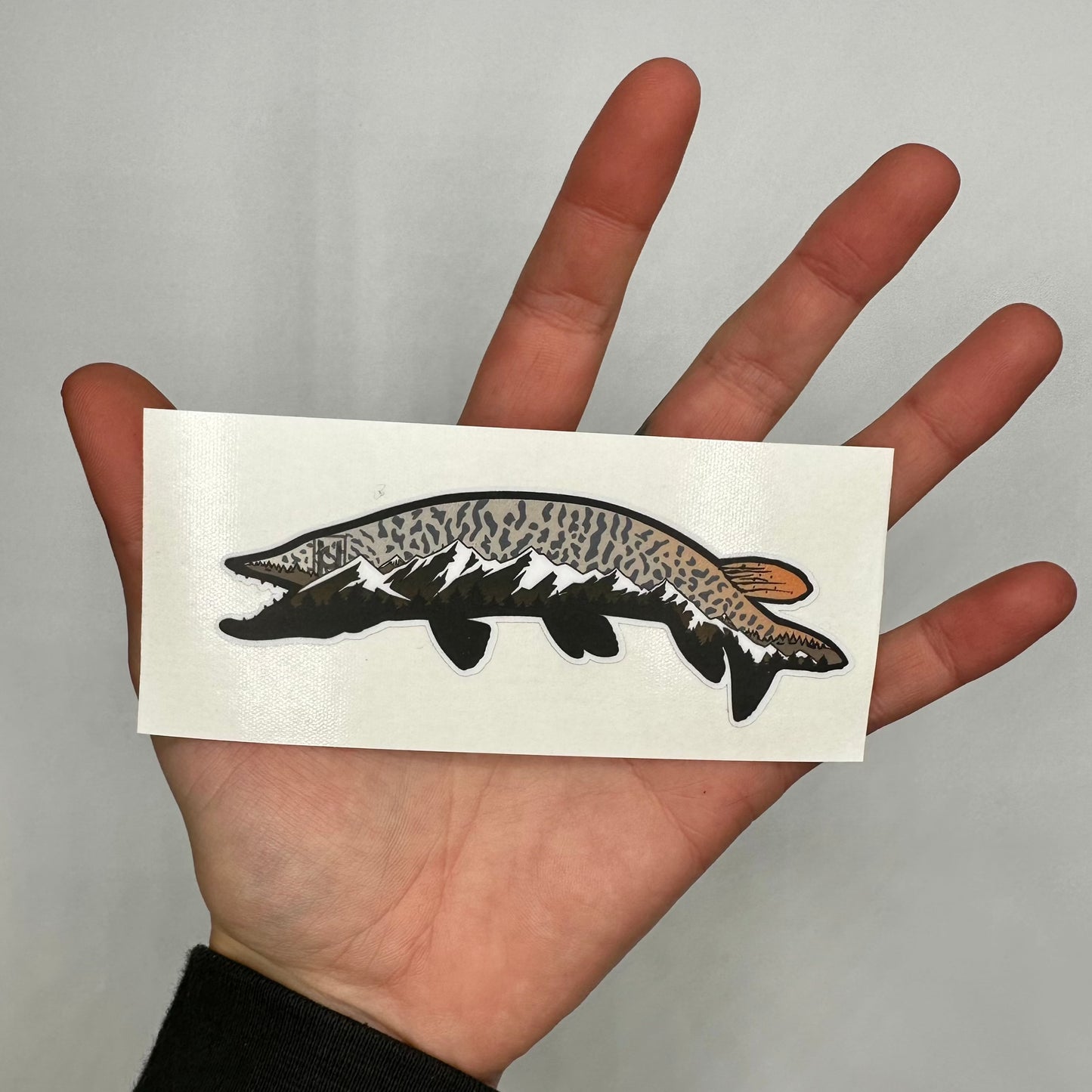 Tiger Muskie Sticker